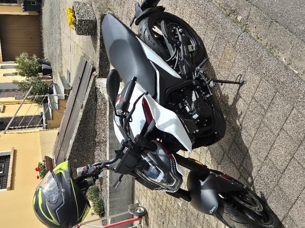 Motorrad verkaufen Malaguti Drakon Ankauf